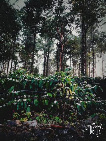 Aditi テッカディ エクステリア 写真